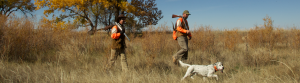 Valhalla-Bijou Hunt Club - Upland game hunting in Bennett, Colorado.