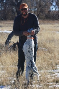 upland bird dog training