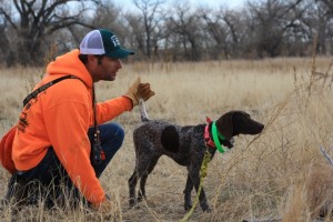 Tyler & Bourbon - Valhalla Kennels & Gun Dogs